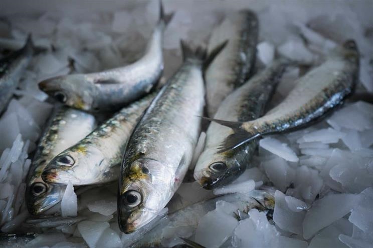 Pesca da sardinha proibida a partir deste sábado